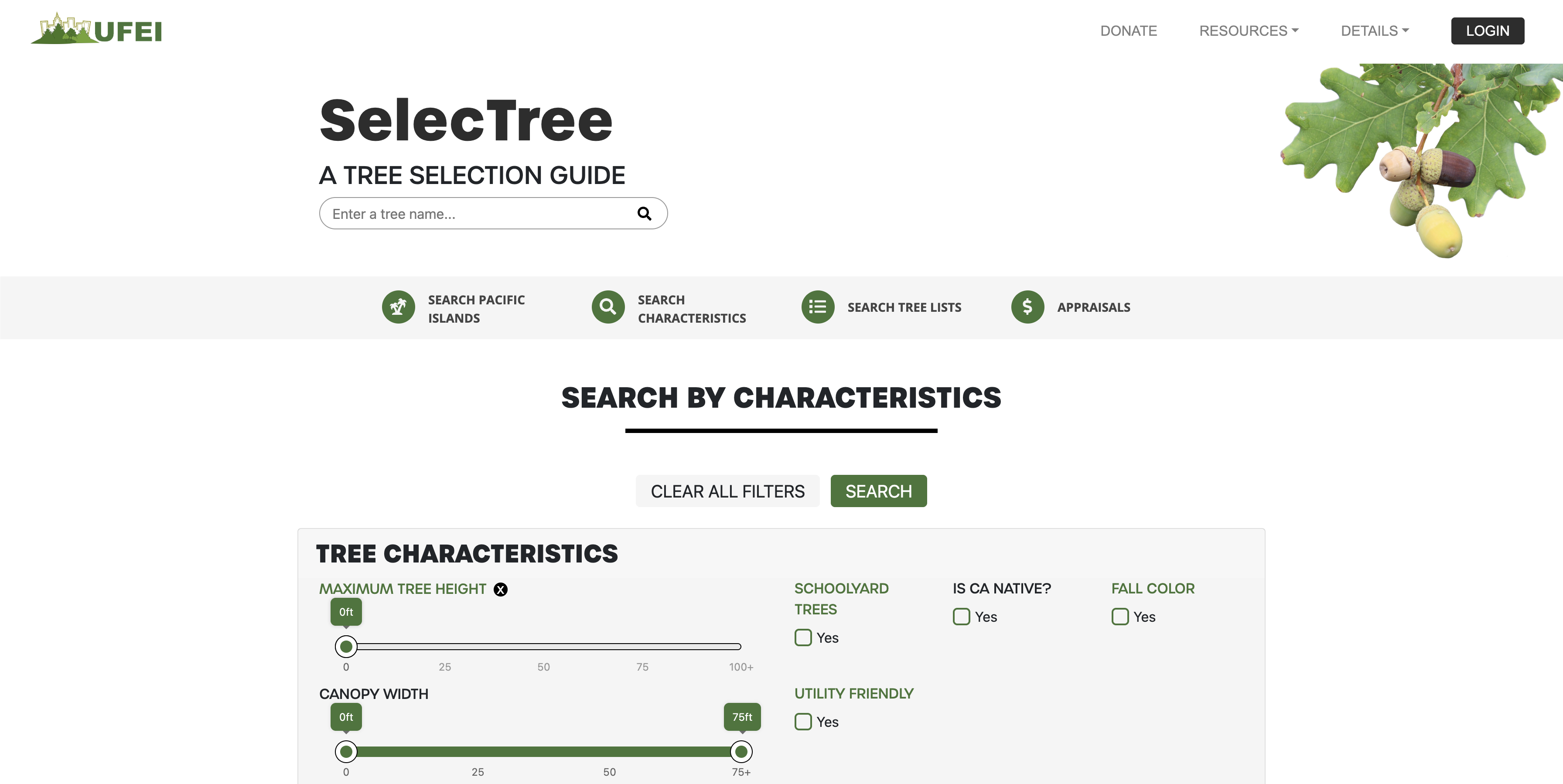 Selectree case study homepage screenshot