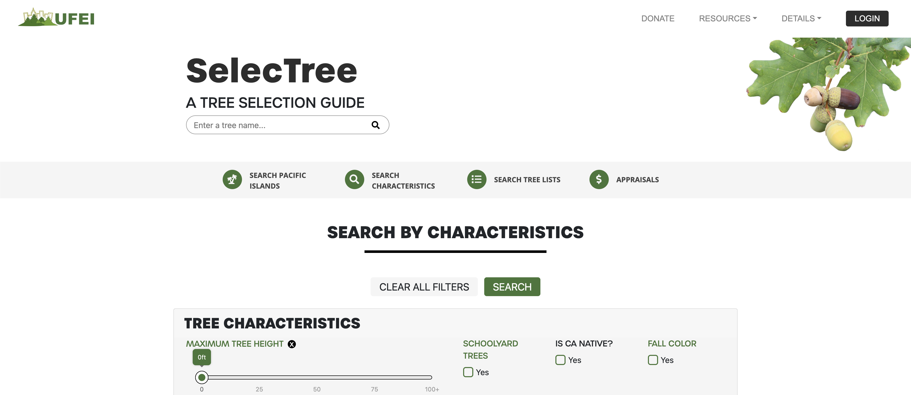 Selectree search interface