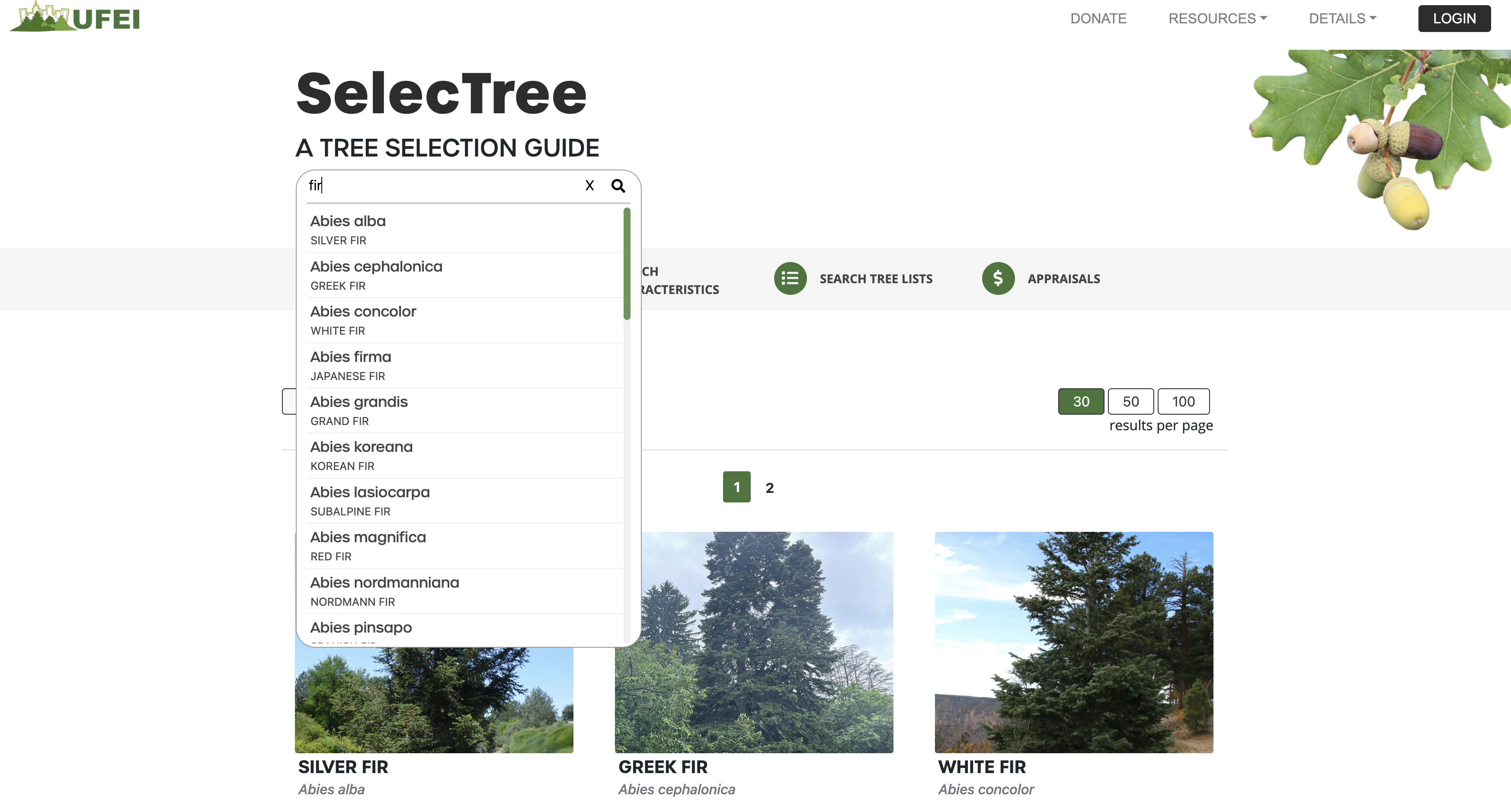 Search dropdown filters